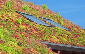 Coleford living roof systems