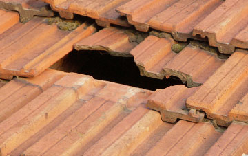 roof repair Coleford